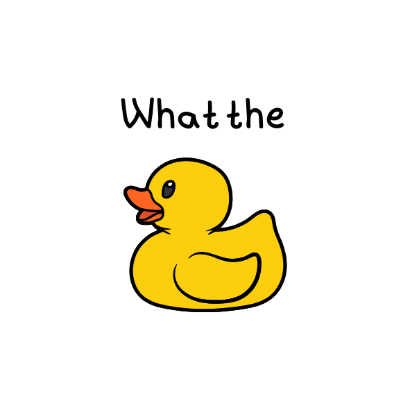 What the duck